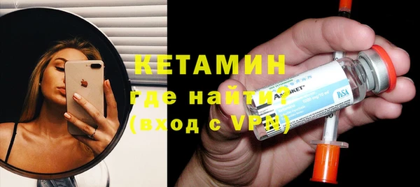 гашик Алексин