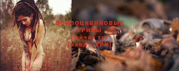 дмт Абинск