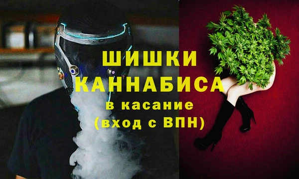 гашик Алексин