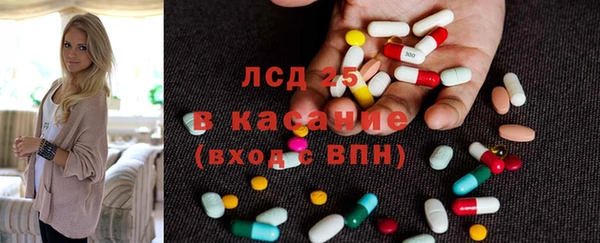 гашик Алексин